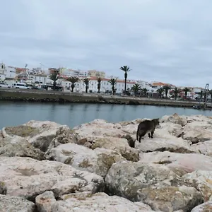  Apartment Beachcity Portugal